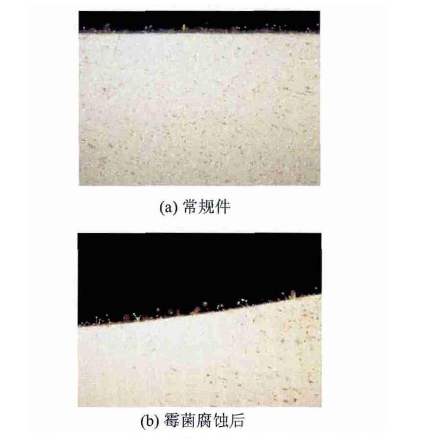 低空載人飛行器霉菌實(shí)驗(yàn)箱對飛行汽車樣品的試驗(yàn)研究(圖3)