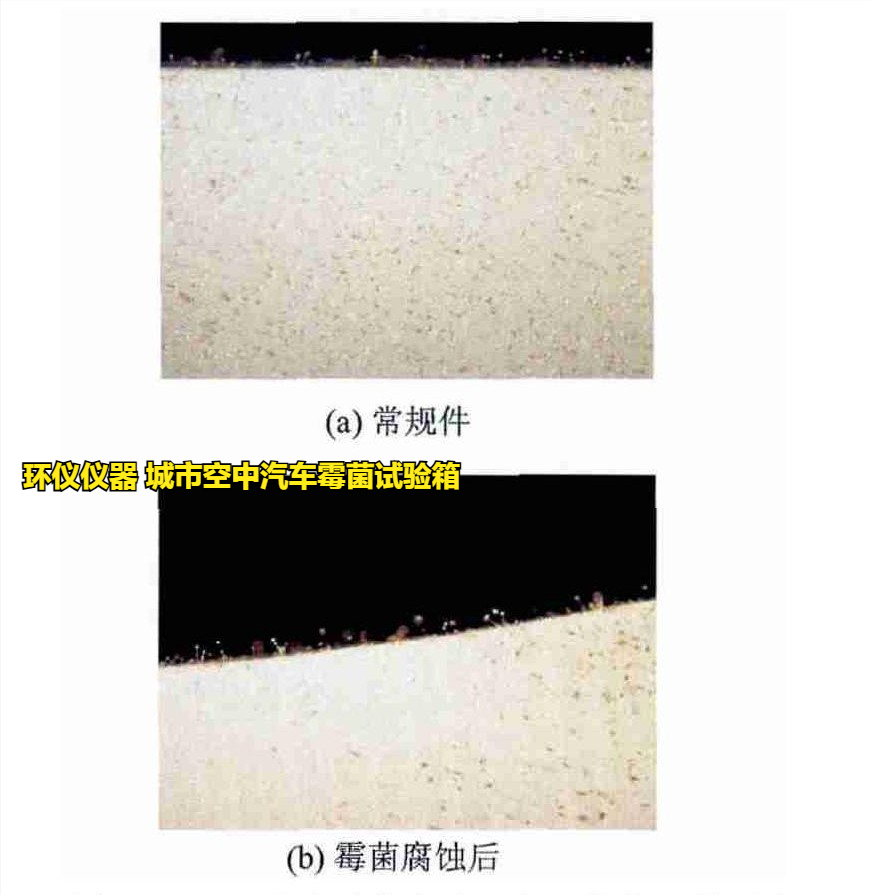 城市空中汽車霉菌試驗(yàn)箱的試驗(yàn)方法(圖3)